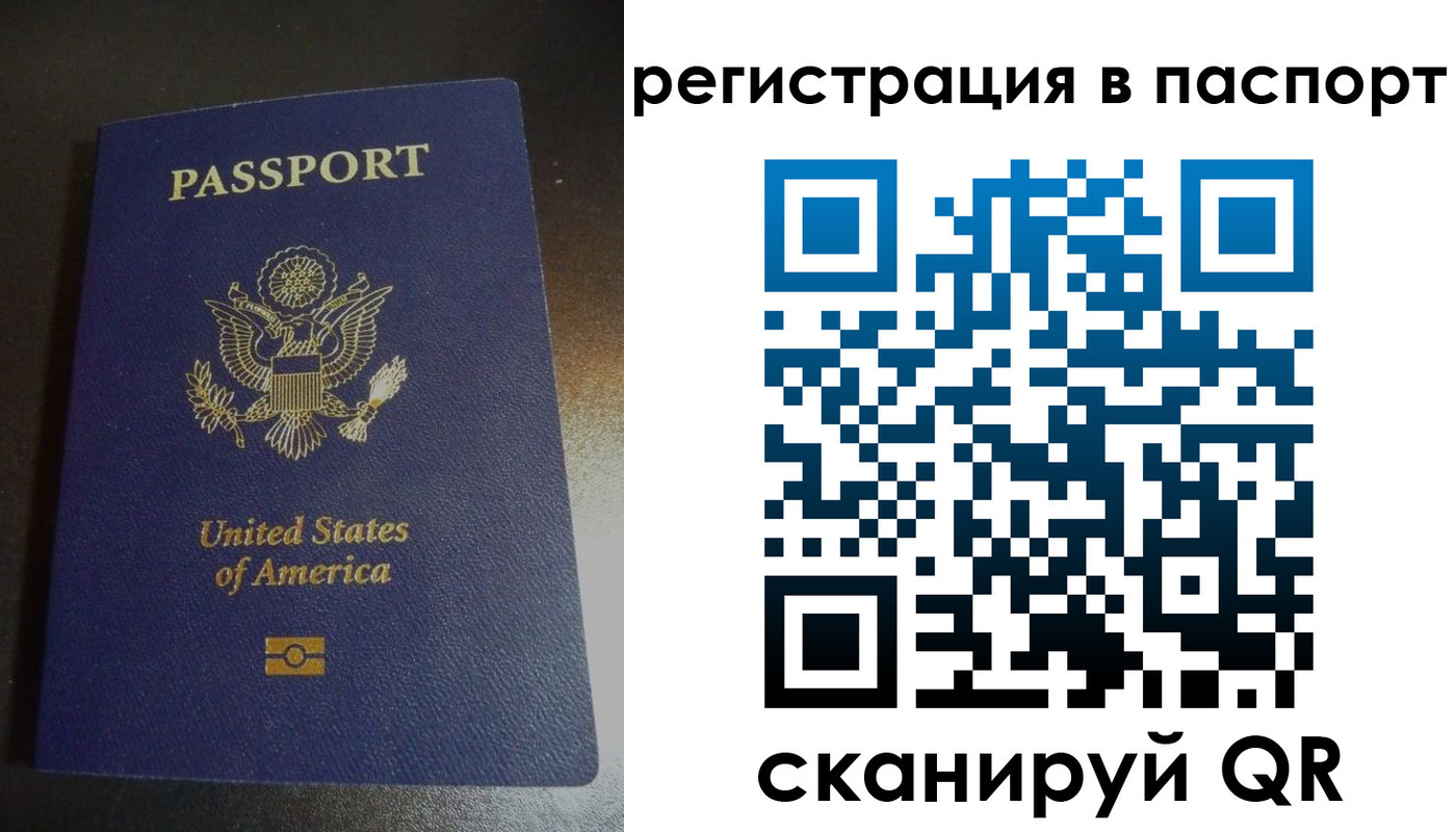 прописка для школы в Родниках
